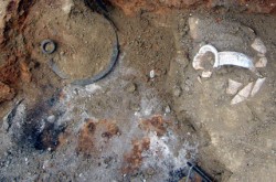Археолози с уникални находки край село Могилец 