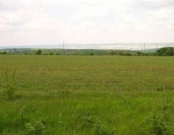 Опредлени са масиви за ползване в четири землища