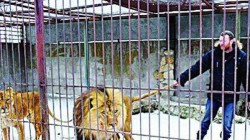 Украинец живя 35 дни в клетка с лъвове