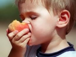 Районната здравна инспекция проверява детските градини за здравословното хранене