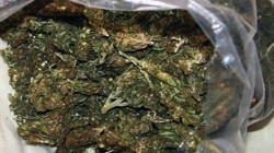Намериха почти 3 кила марихуана в къщата на хасковлия