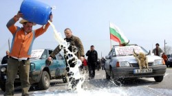 Млекопреработването в сивата икономика