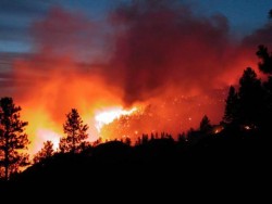 Пожар тръгна от неокосени ливади в Бойковец