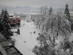 В Етрополе е обявено бедствено положение заради снеговалежа