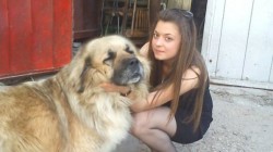 Строшили от бой гръбнака на Мирослава малко преди да я убият