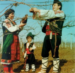 Трифоновден е