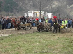 Дни остават до конните състезания в м. Равнището