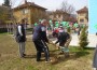 Служители на Горското засадиха дръвчета в ЦДГ „Звънче”