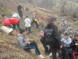 50 доброволци засадиха 3000 фиданки  в местността Пътно Бърдо 