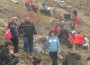 50 доброволци засадиха 3000 фиданки  в местността Пътно Бърдо 