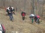 50 доброволци засадиха 3000 фиданки  в местността Пътно Бърдо 