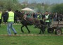 Коне теглиха тежести в Трудовец
