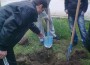 Ученици засадиха дървета по повод Деня на Земята