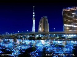 100 хиляди LED лампи „плуваха” в Токио