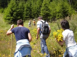 Разходките на открито в жегите са много опасни, предупредиха от БЧК