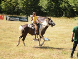 Десет ездачи от Ботевградския край участваха в конен преход “Мургаш”