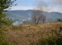 Горят сухи треви край Трудовец