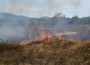 Горят сухи треви край Трудовец