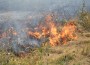 Горят сухи треви край Трудовец
