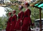 Николина Чакърдъкова  със специално участие на Боженишки урвич 