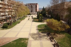 Местни художници ще покажат свои произведения в центъра на града