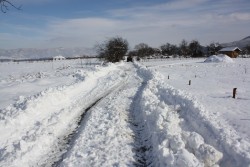 Сключени са договори за снегопочистване в общината  