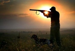 Започва презаверката на ловните билети за 2013 г.