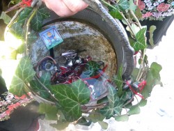 ПЕЕНЕ НА ПРЪСТЕНИ В ЕТРОПОЛЕ 