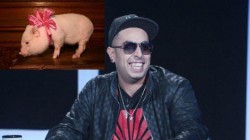 100 Кила си играе с виетнамско прасе, кръстил го Секс