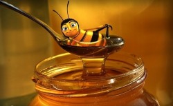 Медът е не само храна, а и лекарство за човека