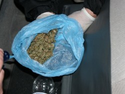 Антимафиоти и полицаи иззеха наркотици при проверка на правчанин край Червен бряг