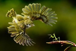 10 неповторими момента, видени през обектив