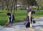 Жители на Община Ботевград се включиха в кампанията „Да изчистим България за един ден”