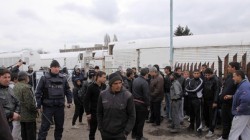 Роми с питбули и ножове тормозят българи в Пловдив