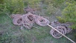 Крадци изкопаха магистрален кабел на министерството на отбраната в района на „Арабаконак”