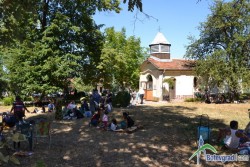 11 овце курбан за Малка Богородица в Зелин