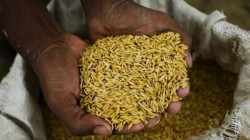 Министерство на земеделието: Данъкът за зърното да се начислява от купувача