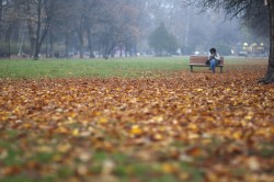 В първия есенен ден - слънчево