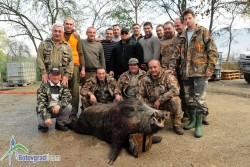Отстреляха 241-килограмова дива свиня