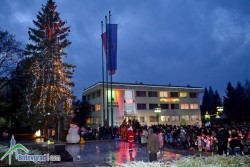 Запалиха светлините на Коледното дърво в Правец