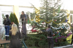 Учениците от ПГТМ “Христо Ботев” украсиха две елхи в двора на учебното заведение