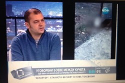 Клип, заснет в Ботевград, показва как се обучава куче за бой