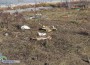 Шахтите под „Чавдар” пълни с животински останки