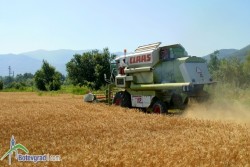 Удължават срока за държавната помощ за намалена акцизна ставка върху газьола