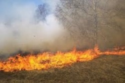 Изгоряха 20 дка сухи треви и храсти в Темуша