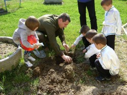 Засадиха 16 дръвчета в двора на ЦДГ „Звънче”