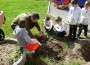 Засадиха 16 дръвчета в двора на ЦДГ „Звънче”