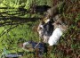 Група от над 30 доброволци почисти горски райони и извън населени места
