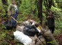 Група от над 30 доброволци почисти горски райони и извън населени места