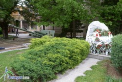 9-ти май ще бъде отбелязан тържествено в Ботевград